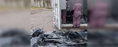 В ивановской горбольнице №4 прокомментировали видео с трупами в мешках на земле у морга - runews24.ru - Иваново