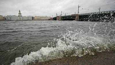 Последствия шторма, Апрашка на торгах и резкое повышение ставки: Петербург 22 октября - dp.ru - Санкт-Петербург