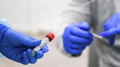В России за сутки провели почти 1 млн тестов на коронавирус - russian.rt.com - Россия