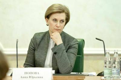 Анна Попова - Попова призвала граждан провести нерабочие дни дома с семьей - pnp.ru - Россия