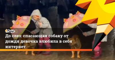До слез: спасающая собаку от дождя девочка влюбила в себя интернет - ridus.ru