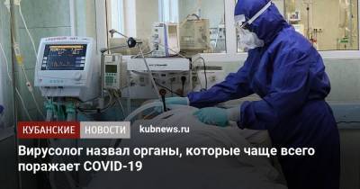 Евгений Тимаков - Вирусолог назвал органы, которые чаще всего поражает COVID-19 - kubnews.ru - Краснодарский край