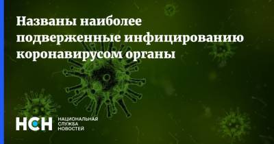 Евгений Тимаков - Названы наиболее подверженные инфицированию коронавирусом органы - nsn.fm