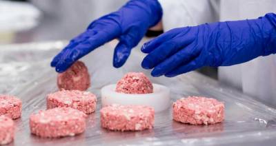 Культивируемое мясо может лишить человечество свободы выбора — ветврач - produkt.by