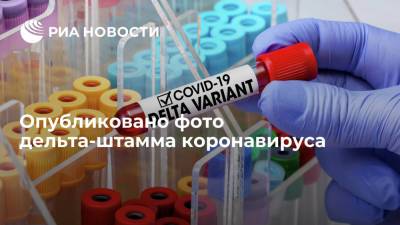 Центр "Вектор" впервые опубликовал фото дельта-штамма коронавируса - ria.ru - Россия - Москва