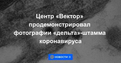 Центр «Вектор» продемонстрировал фотографии «дельта»-штамма коронавируса - news.mail.ru - Россия