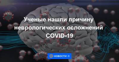 Ученые нашли причину неврологических осложнений COVID-19 - news.mail.ru - Франция - Германия