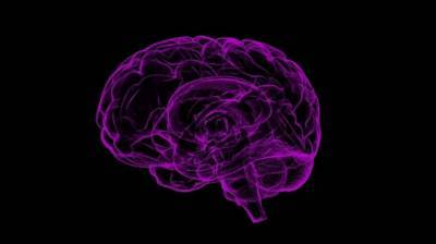 Специалисты из Университета Любека выявили негативное влияние COVID-19 на мозг - inforeactor.ru