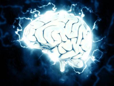 Учёные: COVID-19 способен провоцировать гибель сосудов мозга у человека - actualnews.org - Франция - Германия
