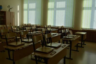 Смоленские образовательные учреждения уходят на каникулы из-за коронавируса - rabochy-put.ru - Смоленская обл.