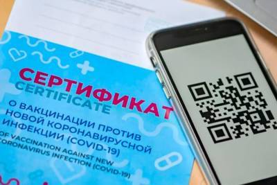 Минздрав России утвердил форму сертификата о вакцинации от коронавируса - ivbg.ru - Россия - Украина