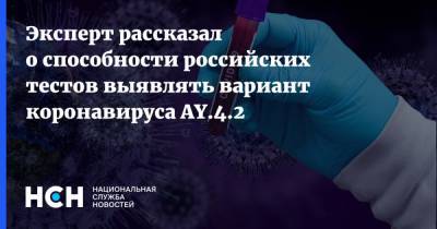 Камиль Хафизов - Эксперт рассказал о способности российских тестов выявлять вариант коронавируса AY.4.2 - nsn.fm