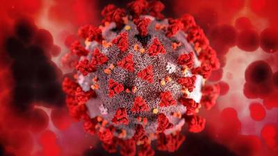 В России за последние сутки обнаружены 36 446 новых случаев коронавируса - vm.ru - Россия - Москва