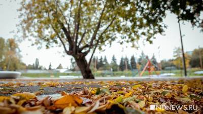 Пустят ли на базу отдыха без QR-кода? Проверили на собственном опыте - newdaynews.ru - Свердловская обл.