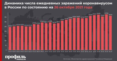 В России обновился максимум по суточной смертности от COVID-19 - profile.ru - Россия - Москва