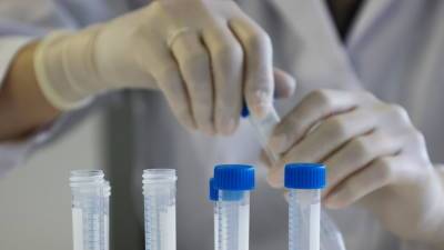 Анна Попова - Попова заявила, что в ряде регионов результаты тестов на коронавирус ждут до шести дней - russian.rt.com