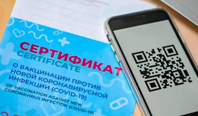 Максим Скулачев - Врачи вычислят покупателей фальшивых ковид-сертификатов по специальному маркеру - newizv.ru