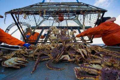 Китай прекратил закупать морепродукты у российских компаний - eadaily.com - Китай