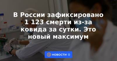 В России зафиксировано 1 123 смерти из-за ковида за сутки. Это новый максимум - news.mail.ru - Россия