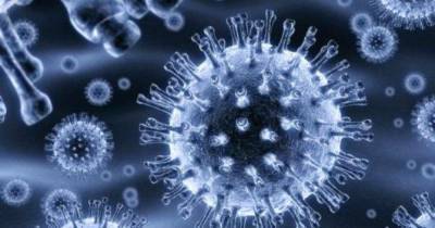 Во время пандемии коронавируса пропал один из самых распространенных штаммов гриппа: исследование - skuke.net - Мельбурн