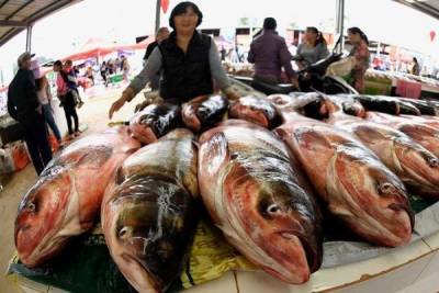 Китай ввел запрет на ввоз морепродуктов из России - newsland.com - Россия - Китай