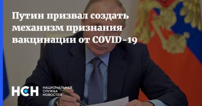 Владимир Путин - Путин призвал создать механизм признания вакцинации от COVID-19 - nsn.fm - Россия