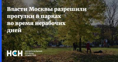 Власти Москвы разрешили прогулки в парках во время нерабочих дней - nsn.fm - Москва