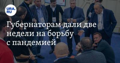 Владимир Андреев - Губернаторам дали две недели на борьбу с пандемией - ura.news - Россия