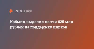 Михаил Мишустин - Кабмин выделил почти 625 млн рублей на поддержку цирков из-за COVID - ren.tv - Россия
