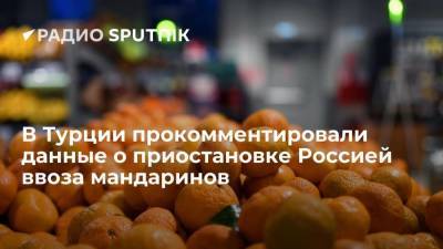 В турецком ведомстве отреагировали на сообщение о приостановке экспорта в Россию мандаринов - smartmoney.one - Россия - Турция