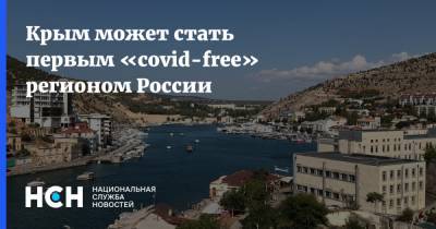 Крым может стать первым «covid-free» регионом России - nsn.fm - Россия - республика Крым