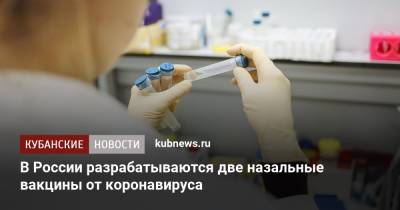 Александр Гинцбург - В России разрабатываются две назальные вакцины от коронавируса - kubnews.ru - Россия