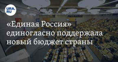 «Единая Россия» единогласно поддержала новый бюджет страны - ura.news - Россия