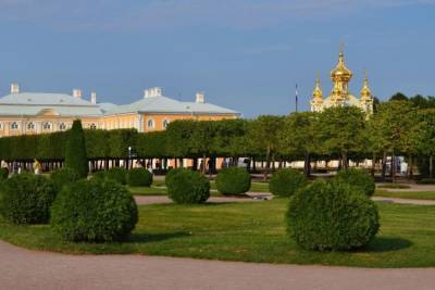 Какие общественные пространства и парки будут доступны для петербуржцев без QR-кода - spb.mk.ru - Голландия