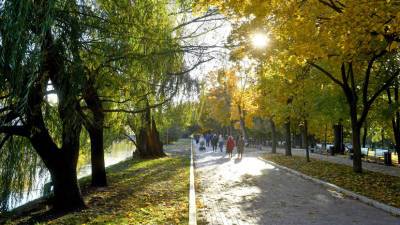 «Непривычно много солнца для октября»: синоптики рассказали о погоде в Москве в ближайшие выходные - russian.rt.com - Москва