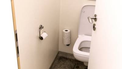 Насколько опасно садиться на унитаз в общественном туалете? - germania.one - Германия