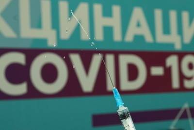 Александр Гинцбург - Гинцбург назвал сроки действия назальной вакцины от COVID-19 - lenta.ru - Россия