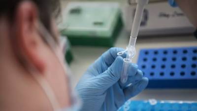За сутки в России сделали более 700 тысяч тестов на коронавирус - russian.rt.com - Россия