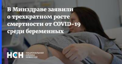 Роман Шмаков - В Минздраве заявили о трехкратном росте смертности от COVID-19 среди беременных - nsn.fm