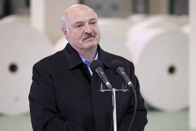 Александр Лукашенко - Лукашенко назвал сумму расходов на борьбу с коронавирусом - lenta.ru - Белоруссия