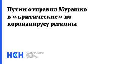 Владимир Путин - Дмитрий Песков - Михаил Мурашко - Путин отправил Мурашко в «критические» по коронавирусу регионы - nsn.fm - Россия