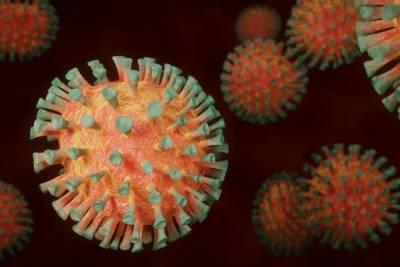 Американская разведка связала происхождение коронавируса с Уханьским институтом - mk.ru - Сша - Китай