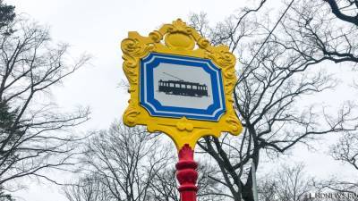 Челябинец погиб, вылетев на авто на трамвайную платформу - newdaynews.ru - Челябинск