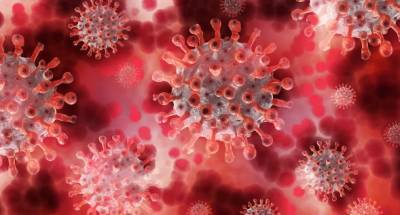 Учёные: Иммунитет к древнему коронавирусу человечество вырабатывало 20 тысяч лет - actualnews.org - Сша - Австралия