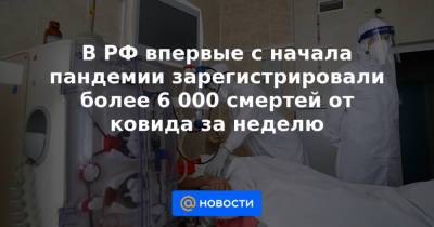 В РФ впервые с начала пандемии зарегистрировали более 6 000 смертей от ковида за неделю - news.mail.ru - Россия