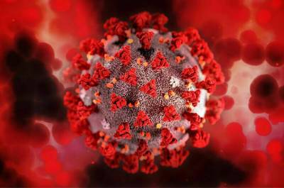 Учёные: коронавирус начал мутировать для более быстрого распространения по воздуху - pnp.ru - Сша - New York