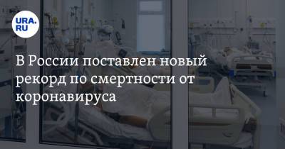 В России поставлен новый рекорд по смертности от коронавируса - ura.news - Россия - Москва