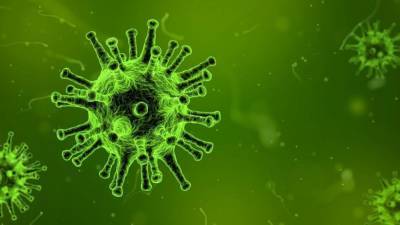 Разведка США: коронавирус не создавали как биологическое оружие - inforeactor.ru - Сша - Китай - Вашингтон