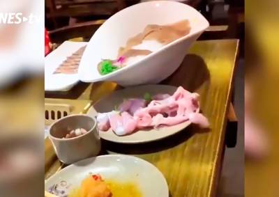 В ресторане кусок сырого мяса зашевелился и «сбежал» из тарелки: видео - vinegret.cz - Сша - Чехия - Майами