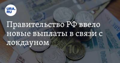 Правительство РФ ввело новые выплаты в связи с локдауном - ura.news - Россия